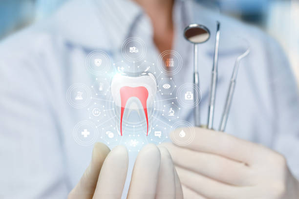 Best Dental Fillings (Composite and Amalgam)  in Bourbonnais, IL